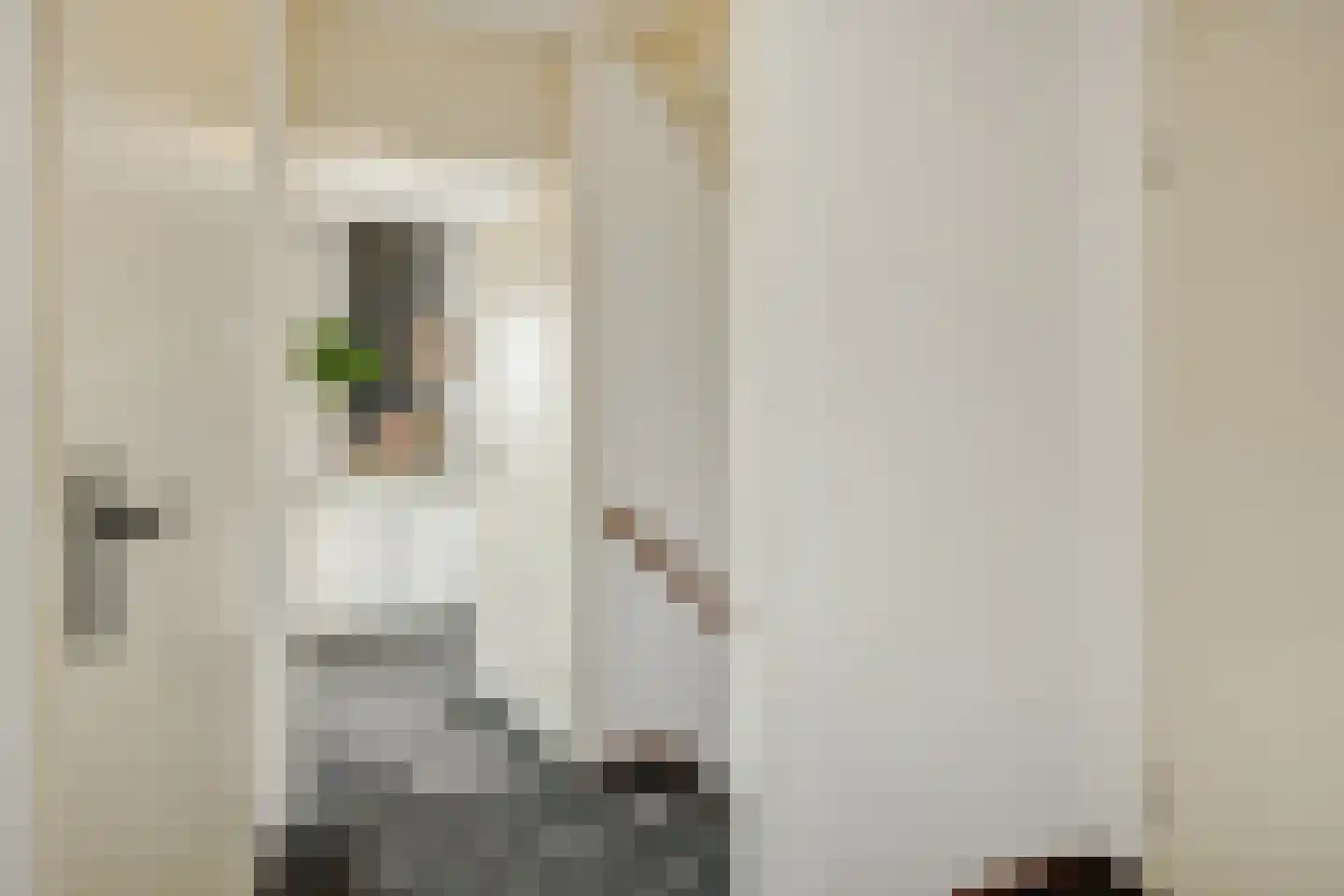 Parklaan 2 Oss thumbnail 16