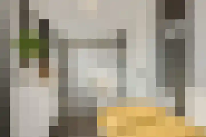 Parklaan 2 Oss thumbnail 21