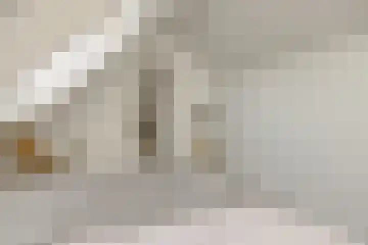 Parklaan 2 Oss thumbnail 30