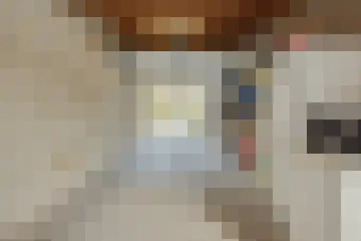 Parklaan 2 Oss thumbnail 31