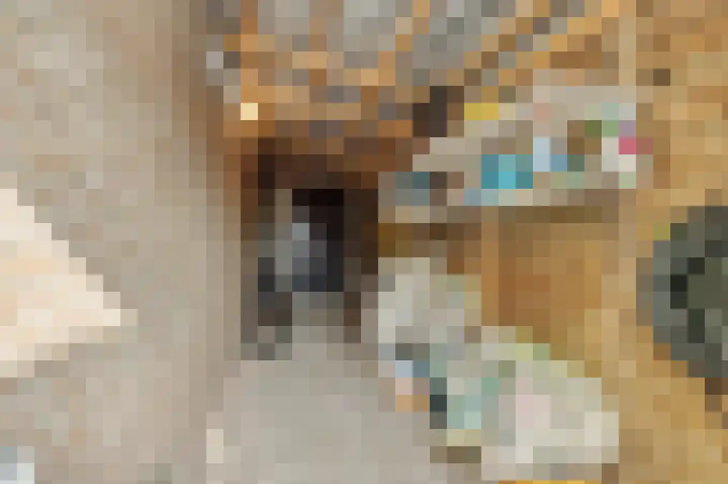 Parklaan 2 Oss thumbnail 35