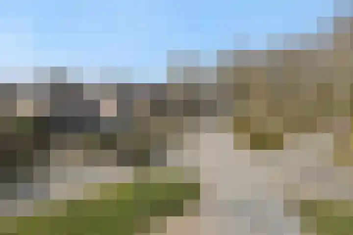 Parklaan 2 Oss thumbnail 49