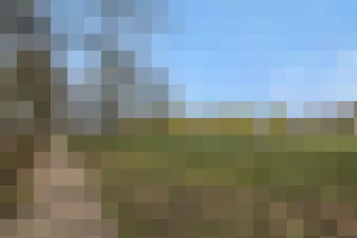 Parklaan 2 Oss thumbnail 52