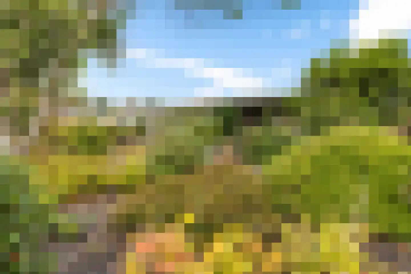 Parklaan 2 Spijk thumbnail 10