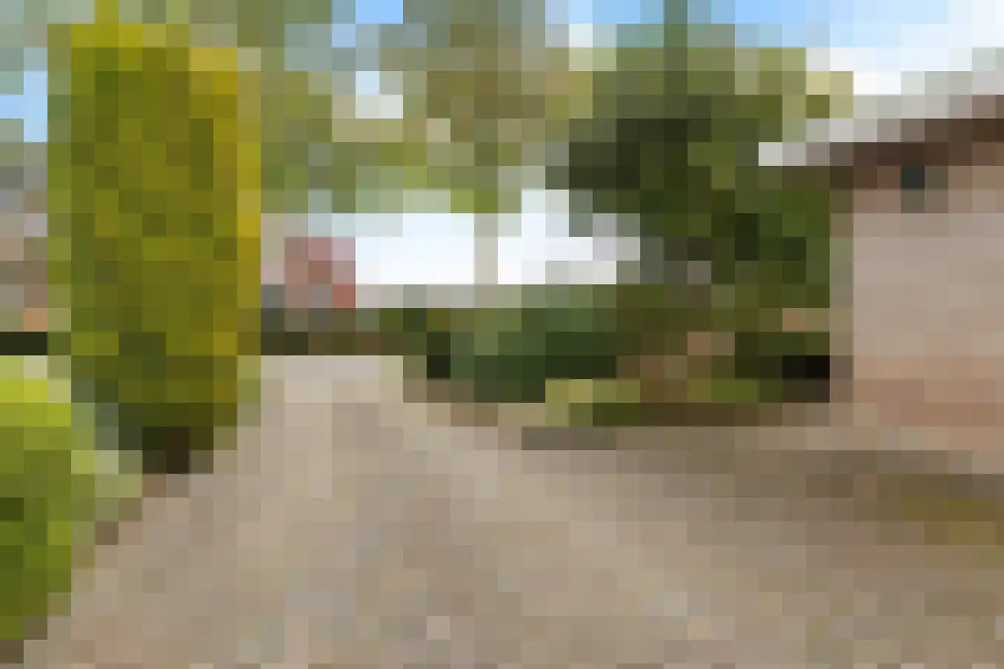 Parklaan 2 Spijk thumbnail 14