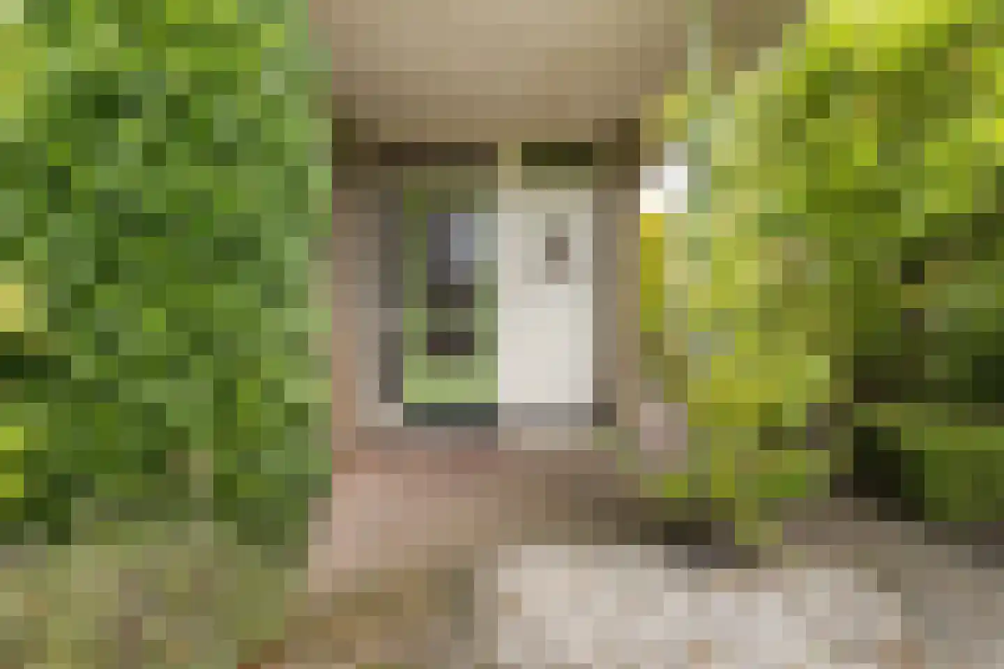 Parklaan 2 Spijk thumbnail 15