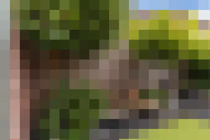 Parklaan 21 IJsselstein thumbnail 31