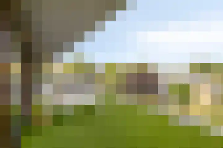 Parklaan 21 Lochem thumbnail 25
