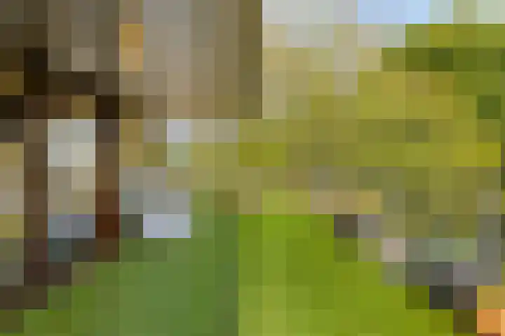 Parklaan 21 Lochem thumbnail 26
