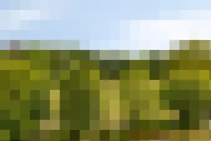 Parklaan 21 Lochem thumbnail 27