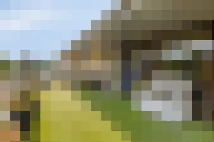 Parklaan 21 Lochem thumbnail 29