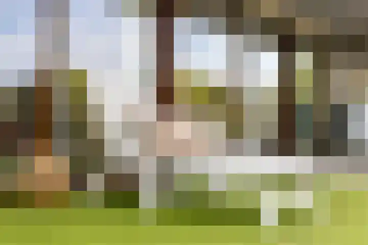 Parklaan 21 Lochem thumbnail 30