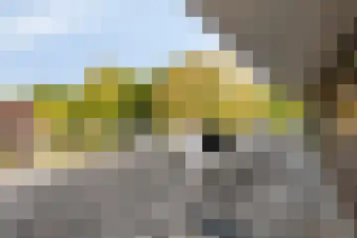 Parklaan 21 Lochem thumbnail 33