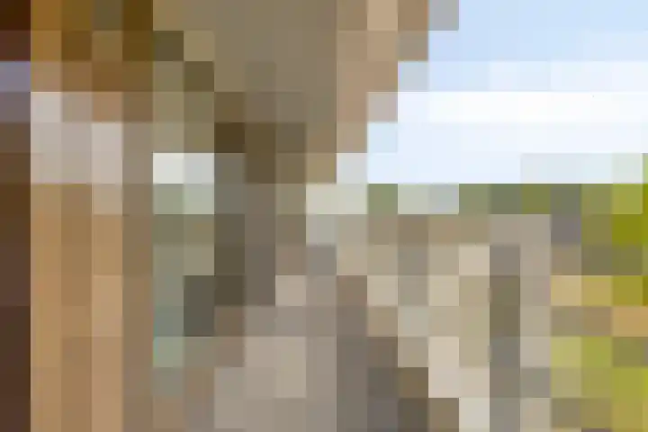Parklaan 21 Lochem thumbnail 34