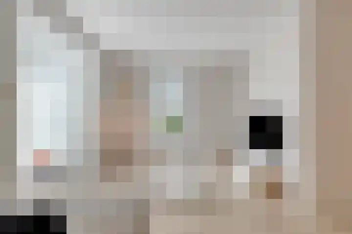Parklaan 21 Venray thumbnail 11