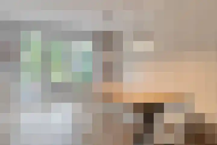Parklaan 21 Venray thumbnail 15