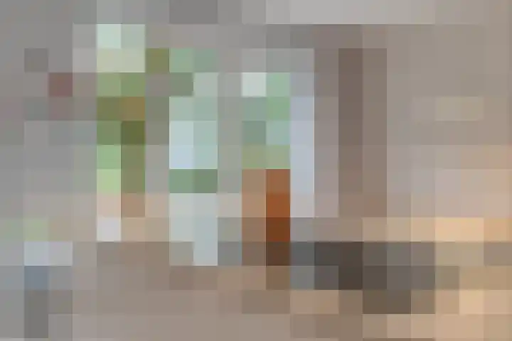 Parklaan 21 Venray thumbnail 20