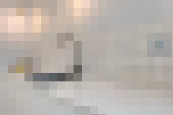 Parklaan 21 Venray thumbnail 22