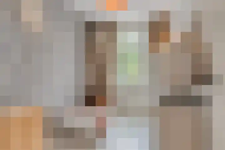 Parklaan 21 Venray thumbnail 32