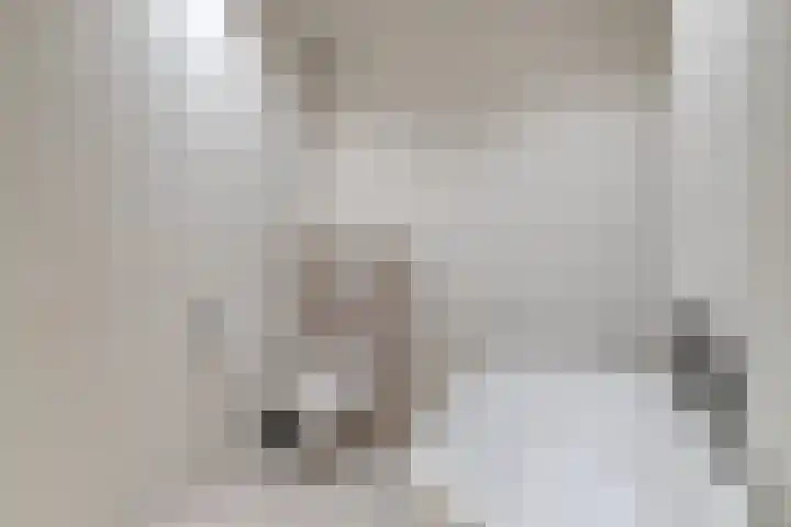 Parklaan 21 Venray thumbnail 34