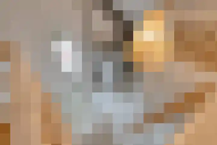 Parklaan 21 Venray thumbnail 38
