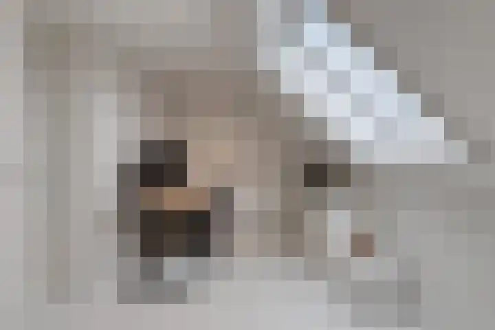 Parklaan 21 Venray thumbnail 39