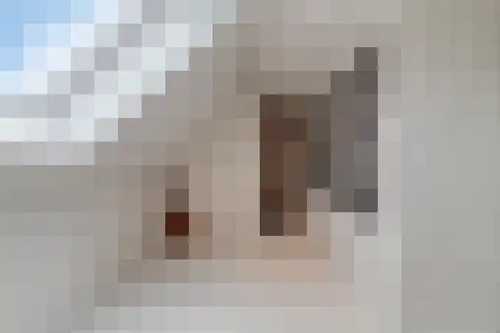 Parklaan 21 Venray thumbnail 40
