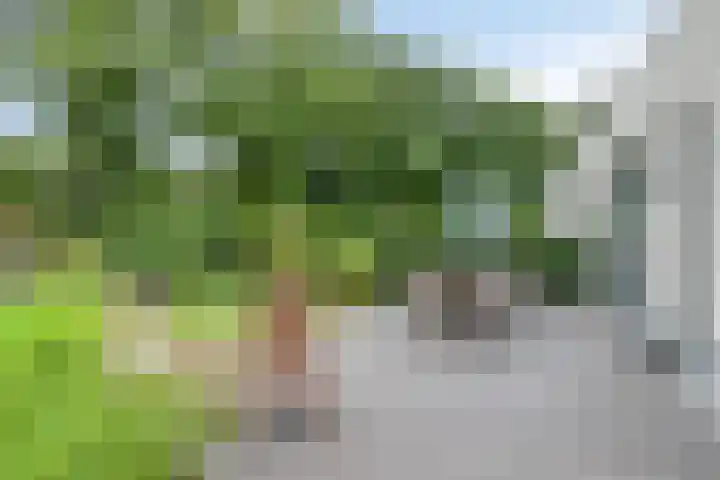 Parklaan 21 Venray thumbnail 42