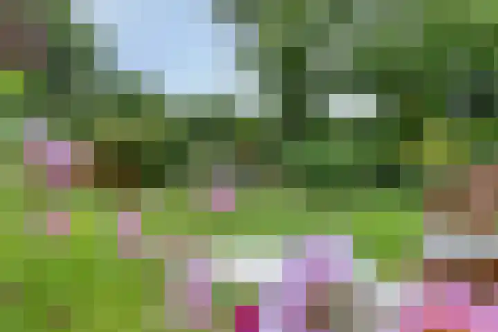 Parklaan 21 Venray thumbnail 43