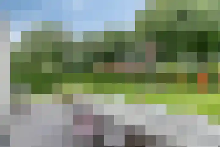 Parklaan 21 Venray thumbnail 44