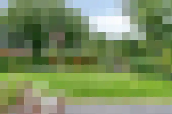 Parklaan 21 Venray thumbnail 45