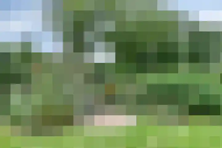 Parklaan 21 Venray thumbnail 46