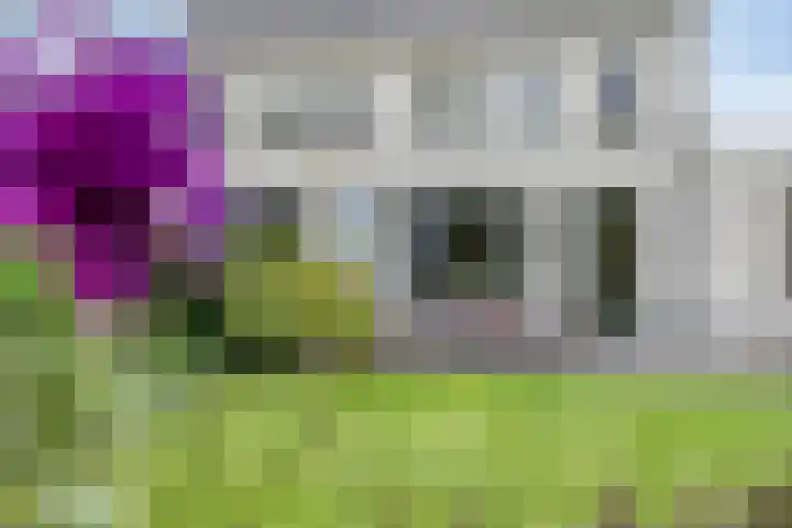 Parklaan 21 Venray thumbnail 48