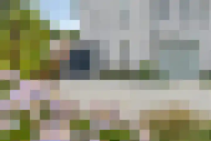 Parklaan 21 Venray thumbnail 5