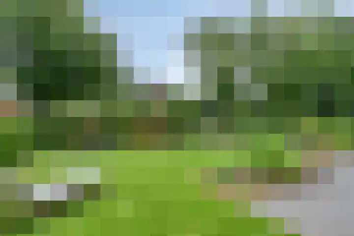 Parklaan 21 Venray thumbnail 50