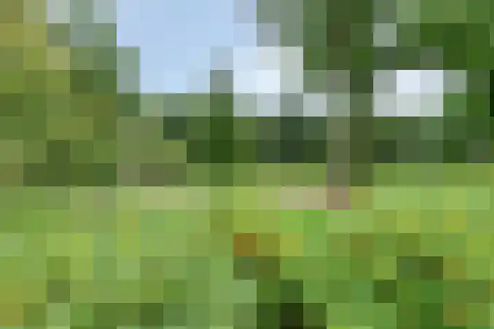 Parklaan 21 Venray thumbnail 51