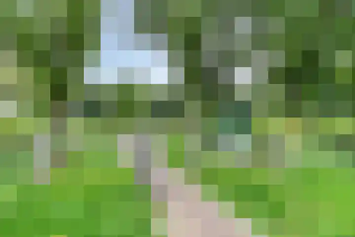 Parklaan 21 Venray thumbnail 52