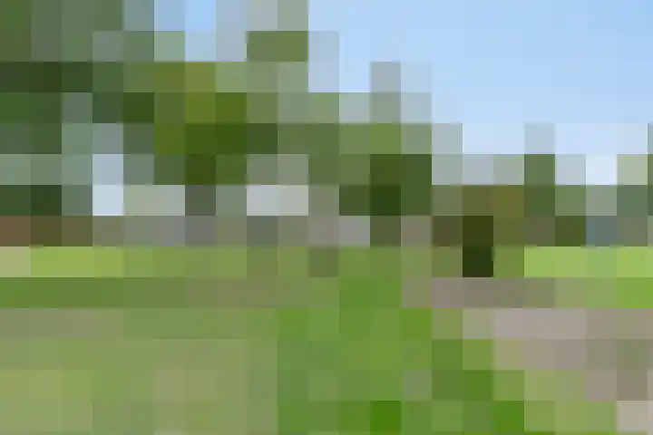 Parklaan 21 Venray thumbnail 55