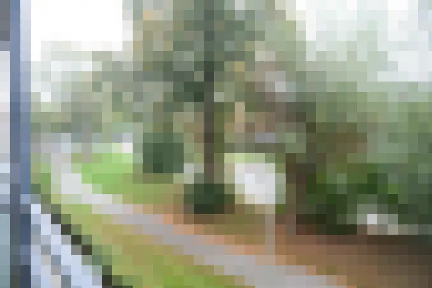 Parklaan 217 Culemborg thumbnail 14