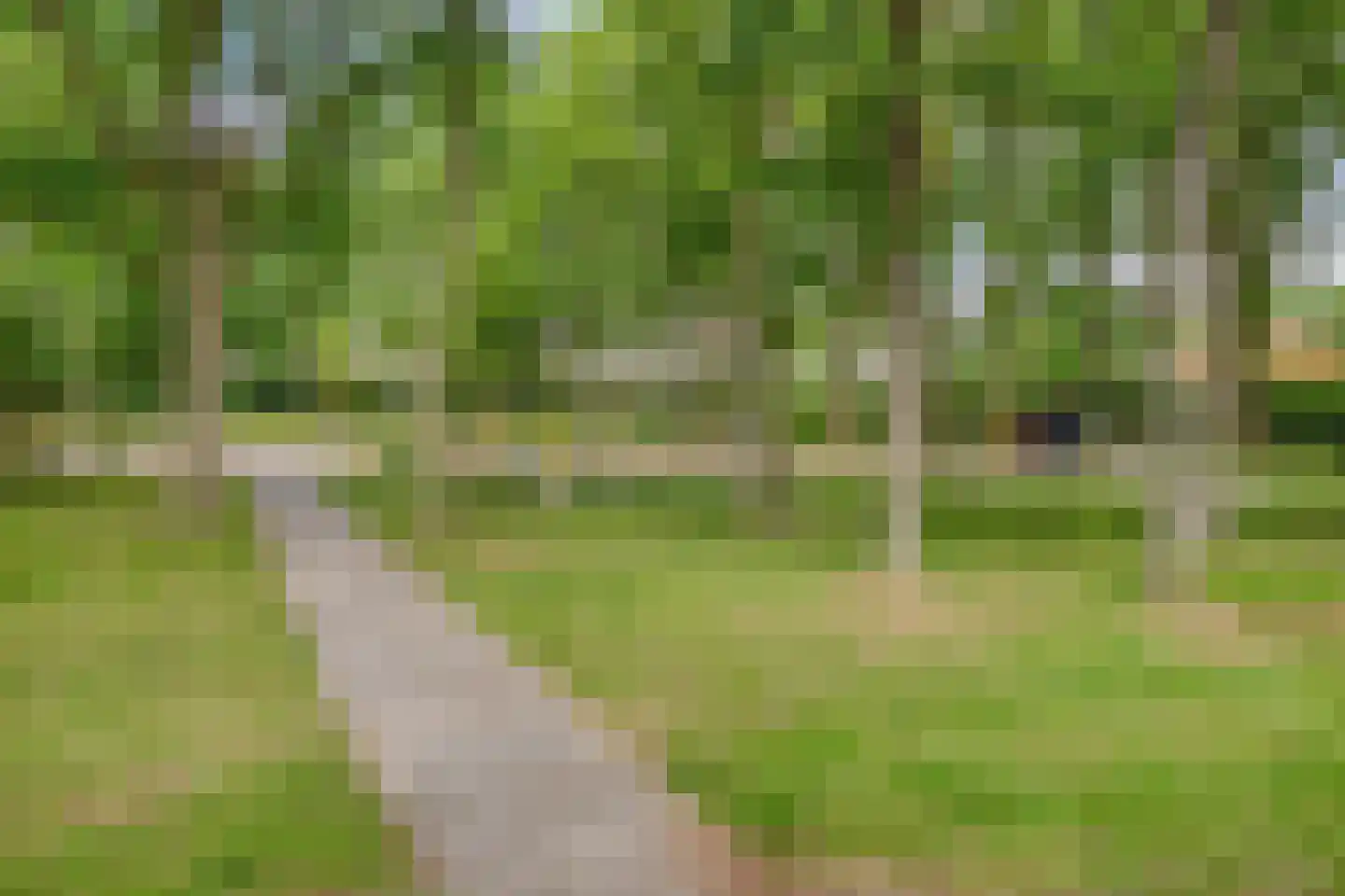 Parklaan 22 Melick thumbnail 36