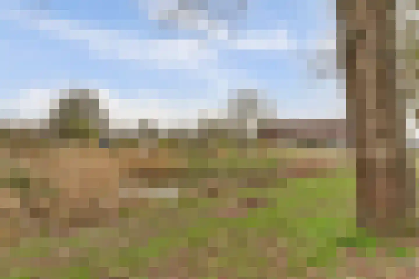 Parklaan 221 Culemborg thumbnail 38
