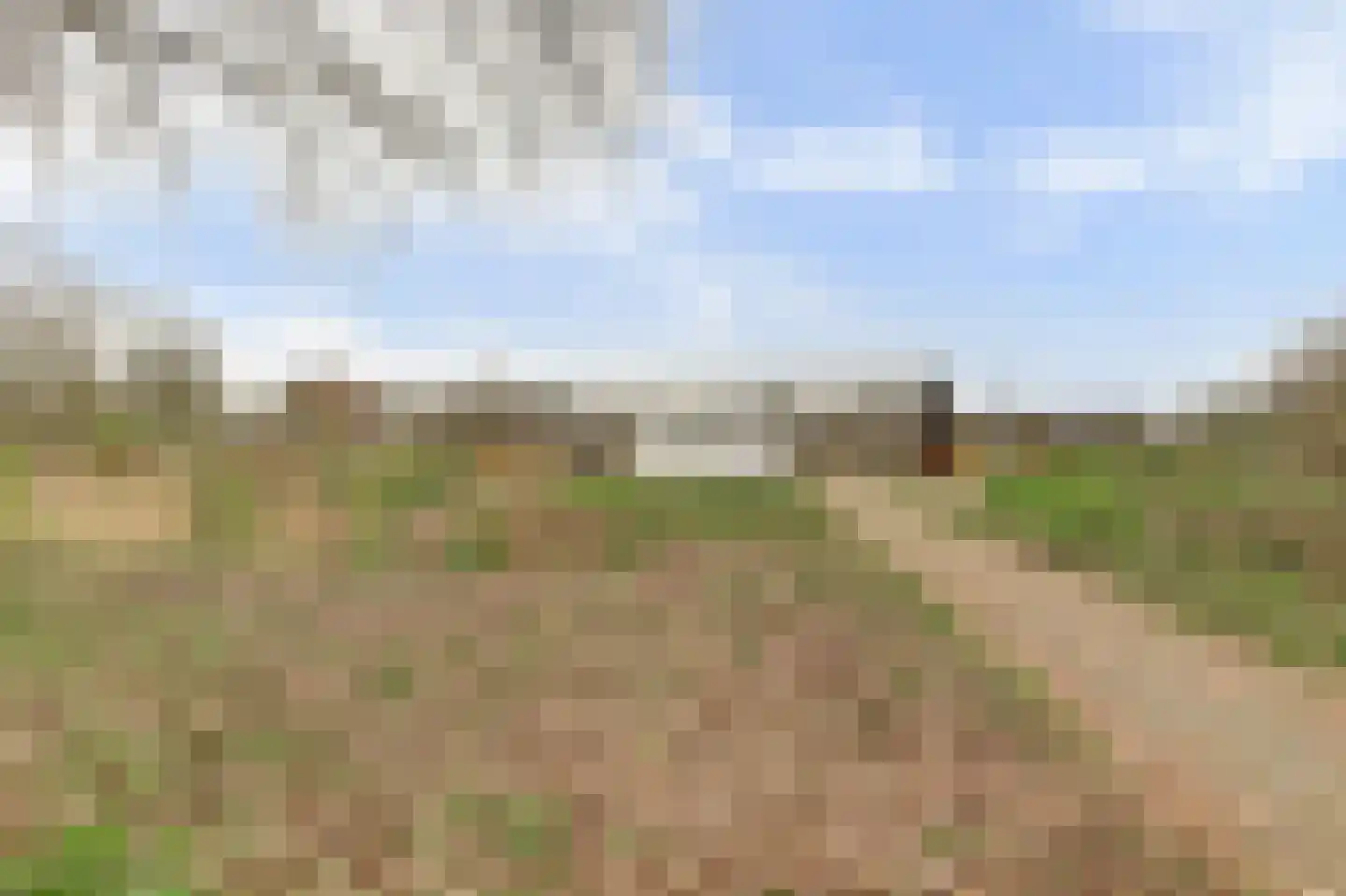 Parklaan 221 Culemborg thumbnail 39