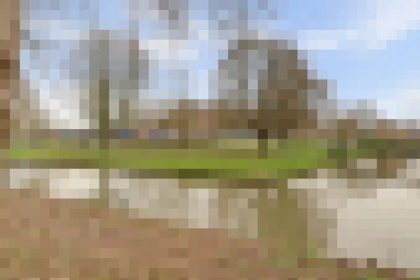 Parklaan 221 Culemborg thumbnail 40