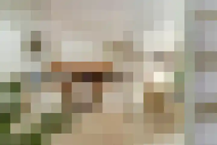 Parklaan 23 Son en Breugel thumbnail 10