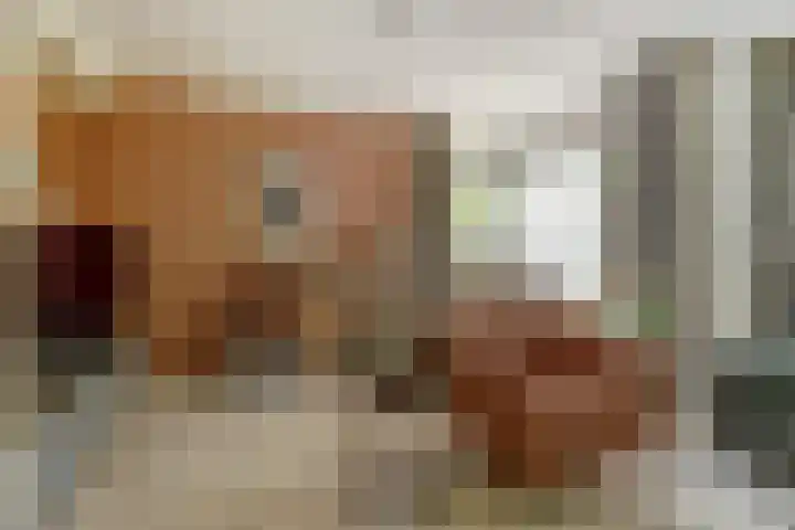 Parklaan 23 Son en Breugel thumbnail 14