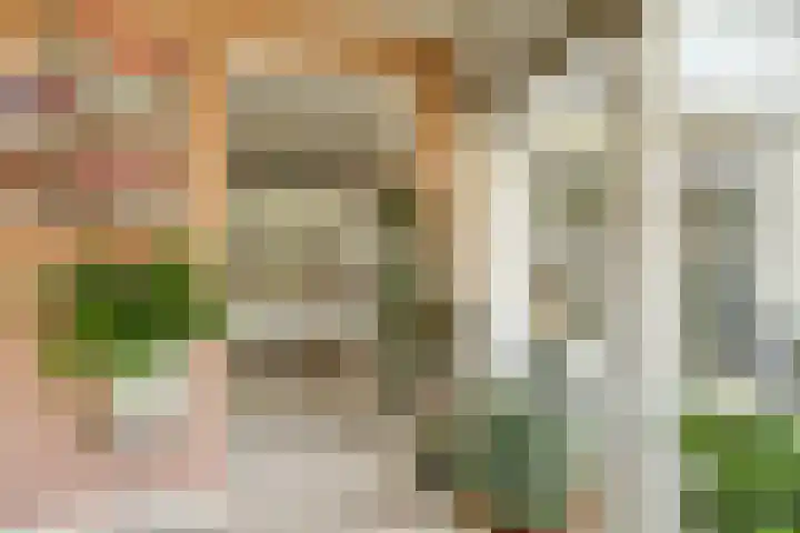 Parklaan 23 Son en Breugel thumbnail 15