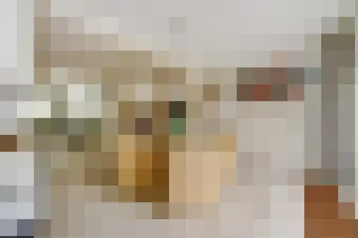 Parklaan 23 Son en Breugel thumbnail 20
