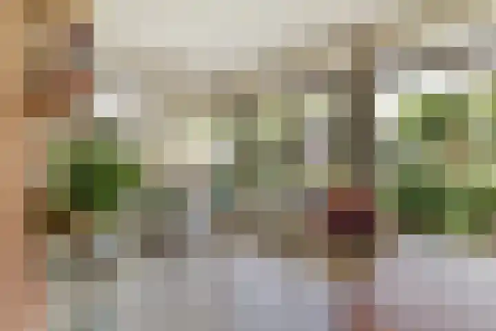 Parklaan 23 Son en Breugel thumbnail 22