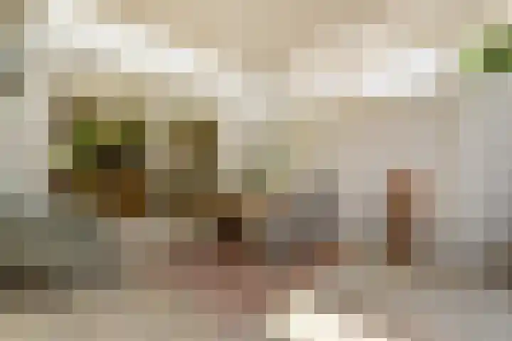 Parklaan 23 Son en Breugel thumbnail 24