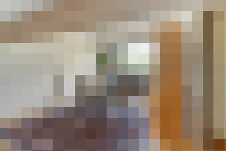 Parklaan 23 Son en Breugel thumbnail 36